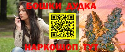 шишки Прокопьевск