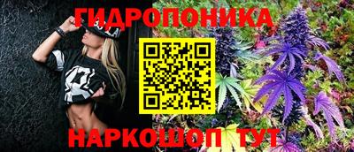 шишки Прокопьевск