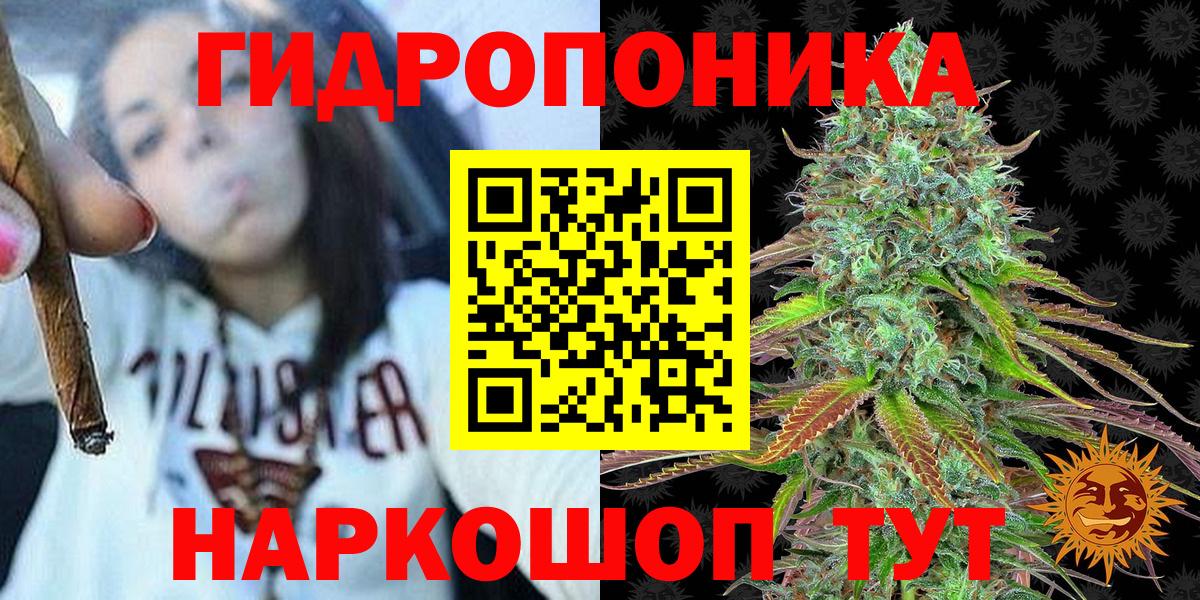 Кубинка  Бошки марихуана Amnesia  Бошки Шишки Bruce Banner  Вход с VPN  Канабис White Widow 